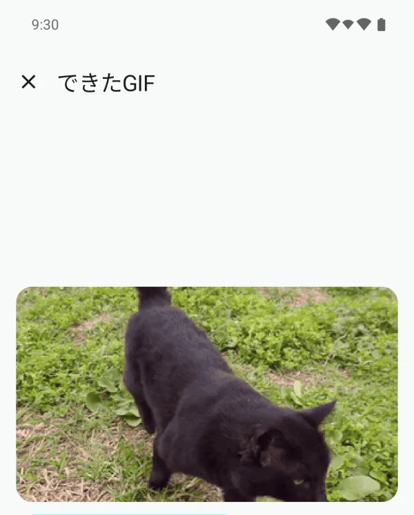 Your GIF screen showing the finished GIF