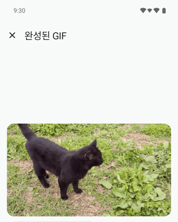 Your GIF screen showing the finished GIF