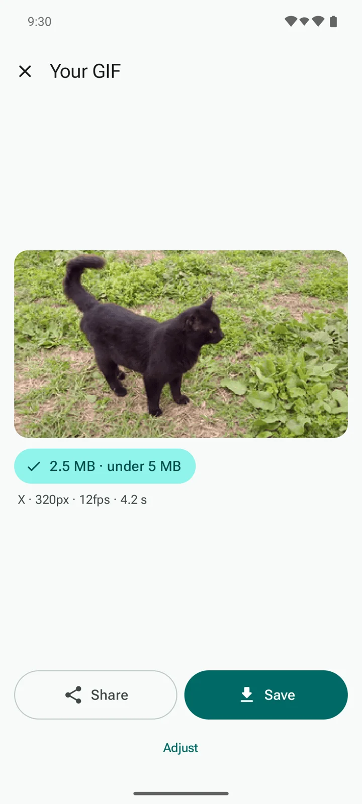Your GIF screen with the finished GIF, a size chip showing it fits, and Share and Save buttons